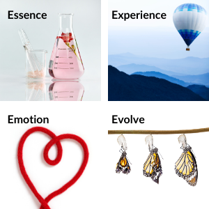 The emotion, experience, emotion and evolve of brand